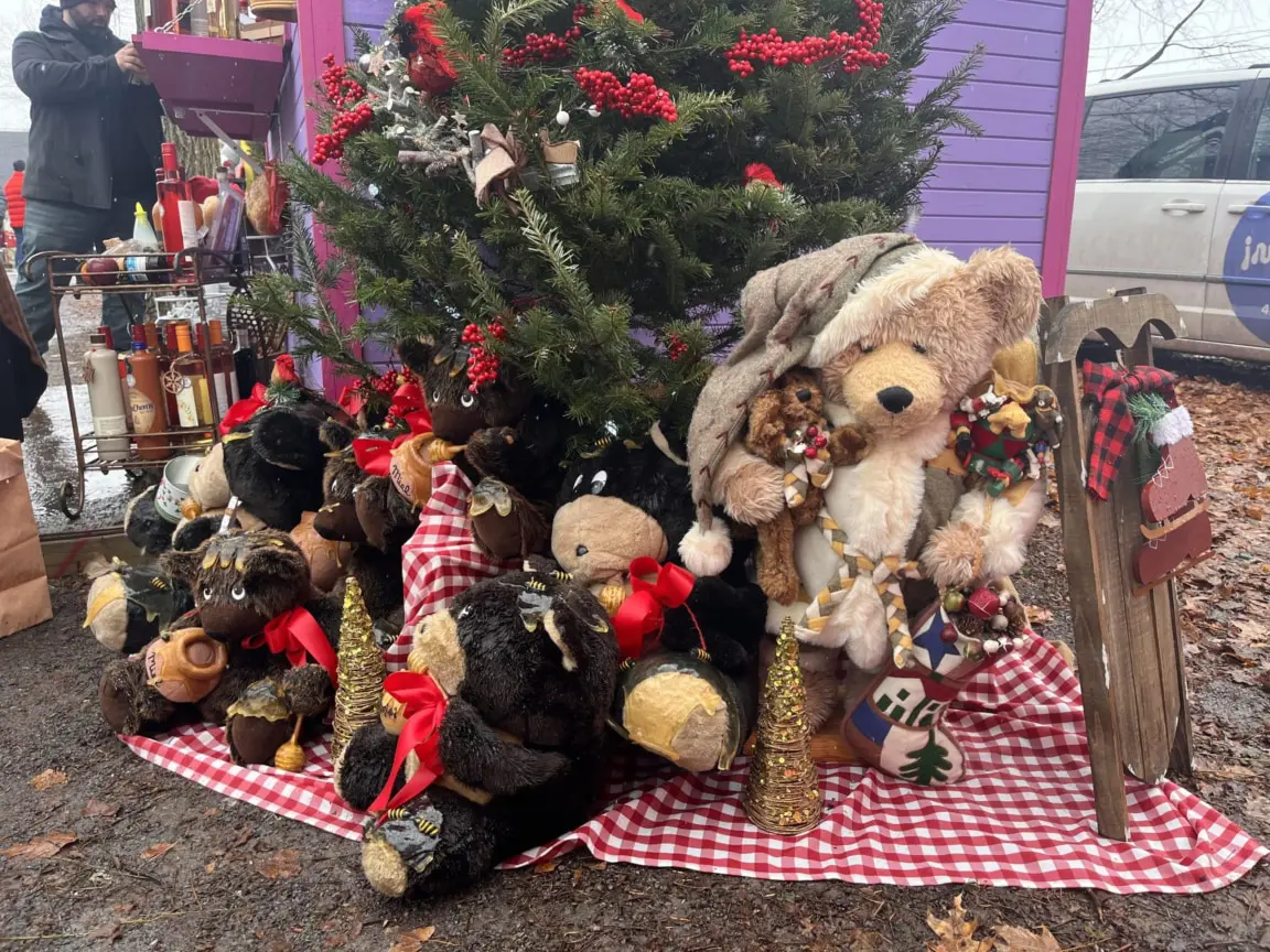 Carousel d'images marché des fêtes