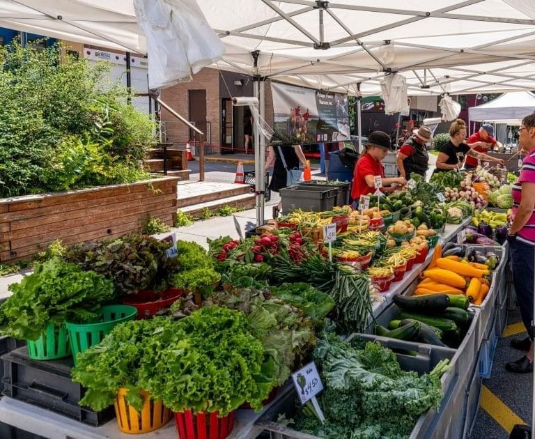 Image du marché public