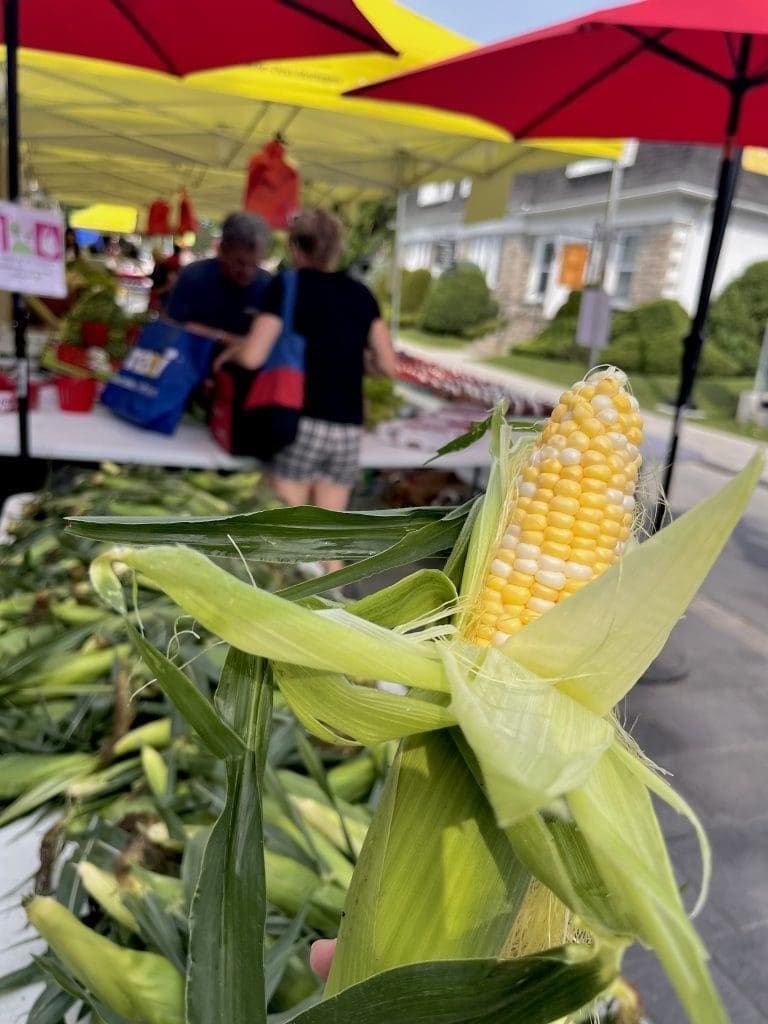 Image du marché public