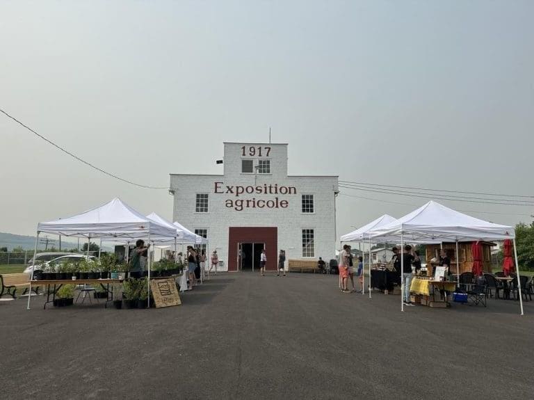 Image du marché public