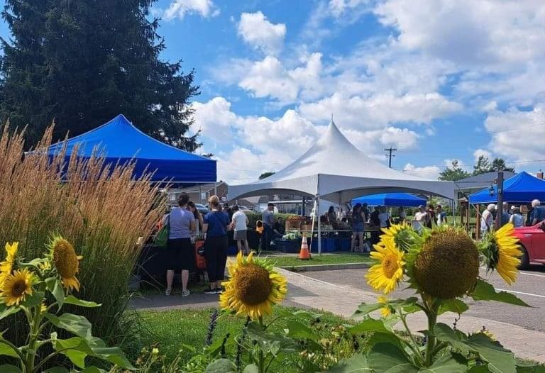 Image du marché public