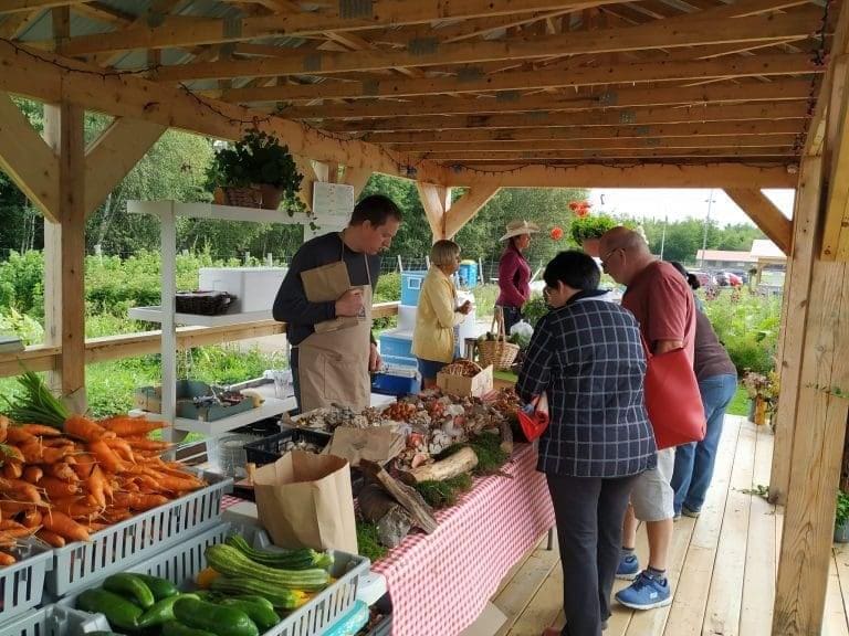Image du marché public