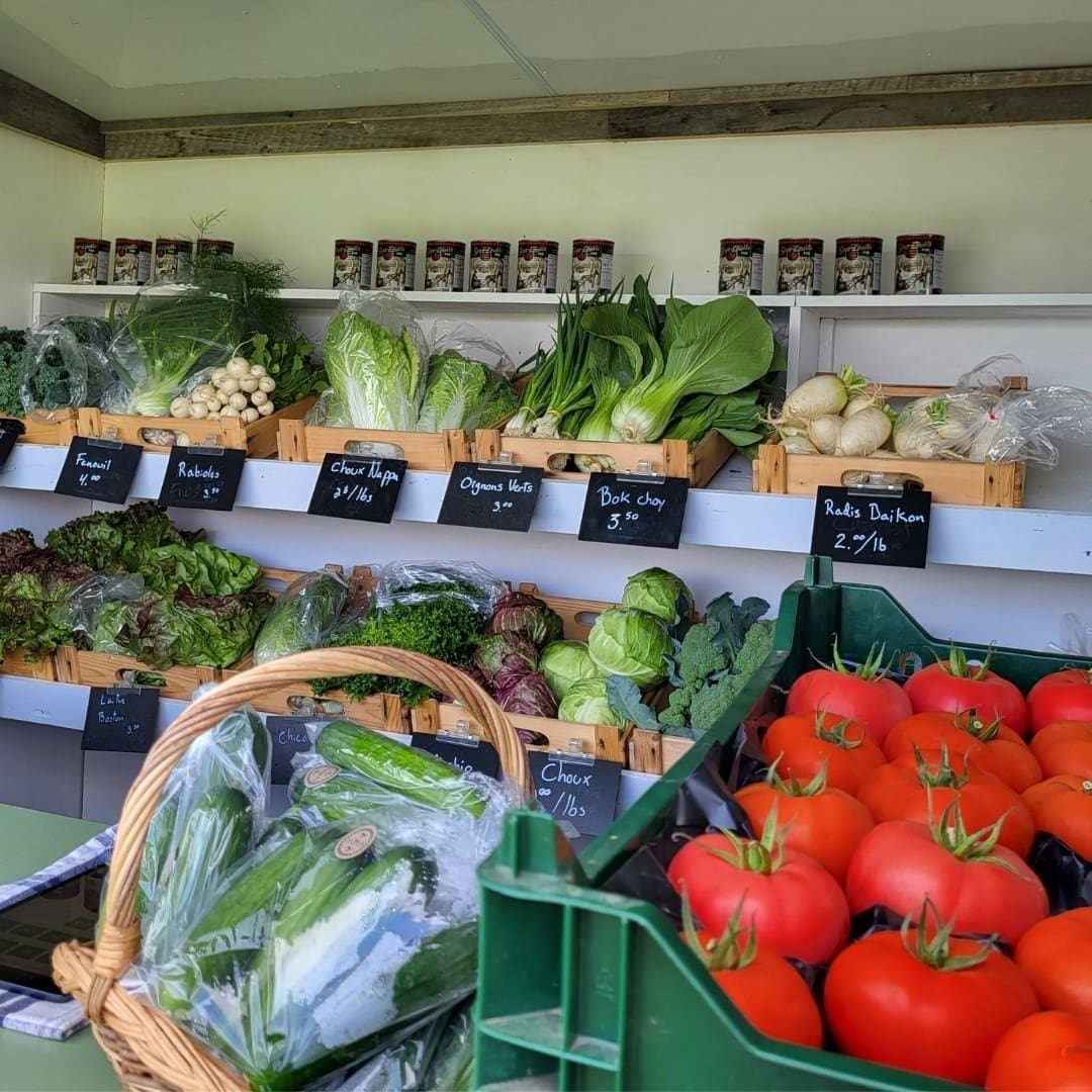 Image représentant la région