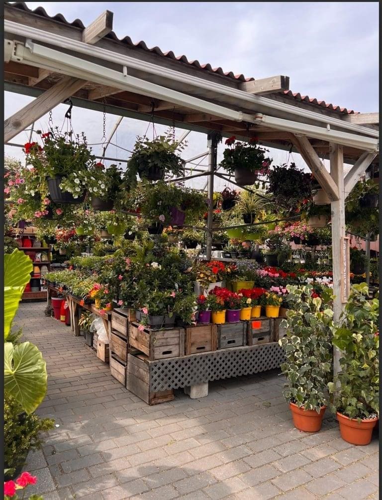 Image du marché public