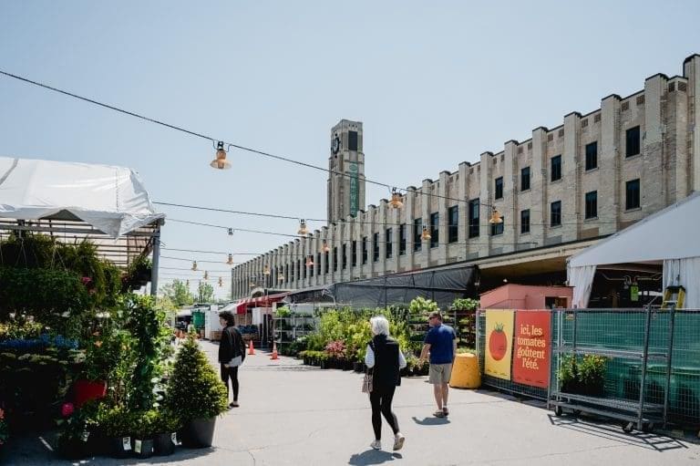 Image du marché public