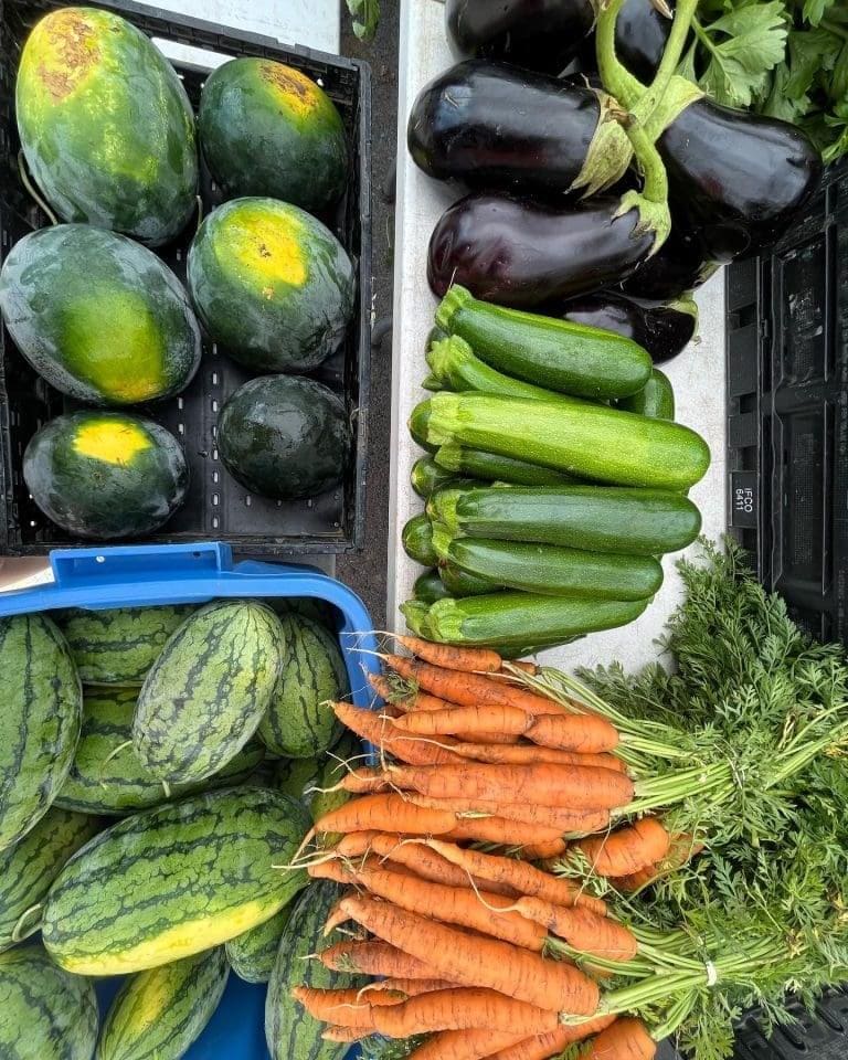 Image du marché public