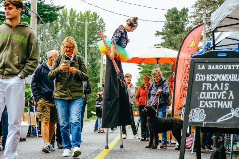Image du marché public