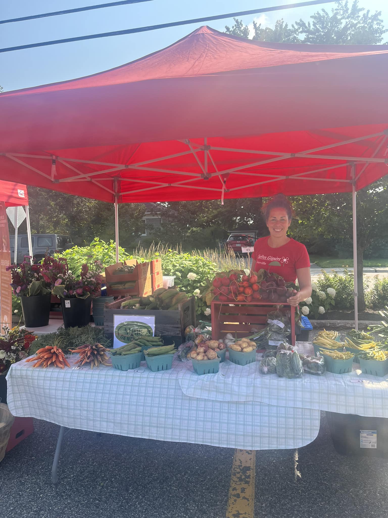 Image représentant la région