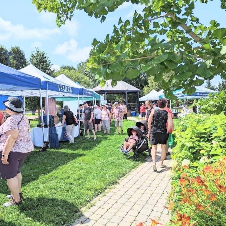 Image du marché public