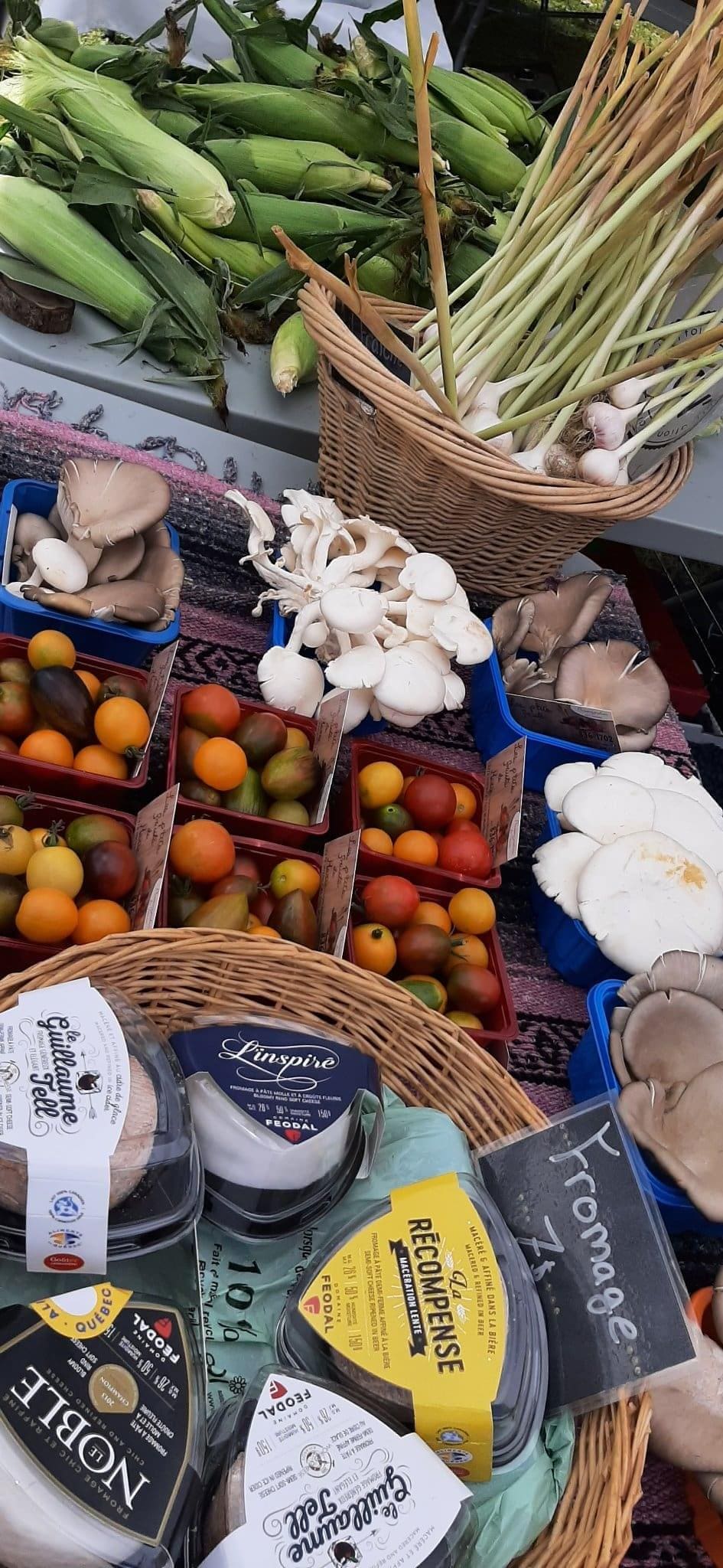 Image représentant la région