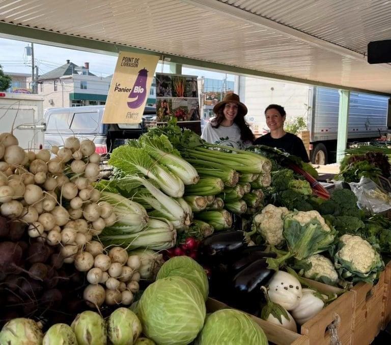 Image du marché public