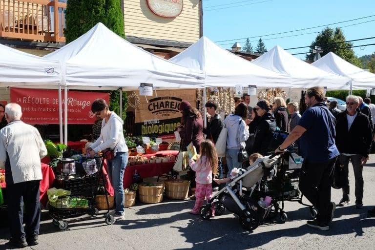 Image du marché public