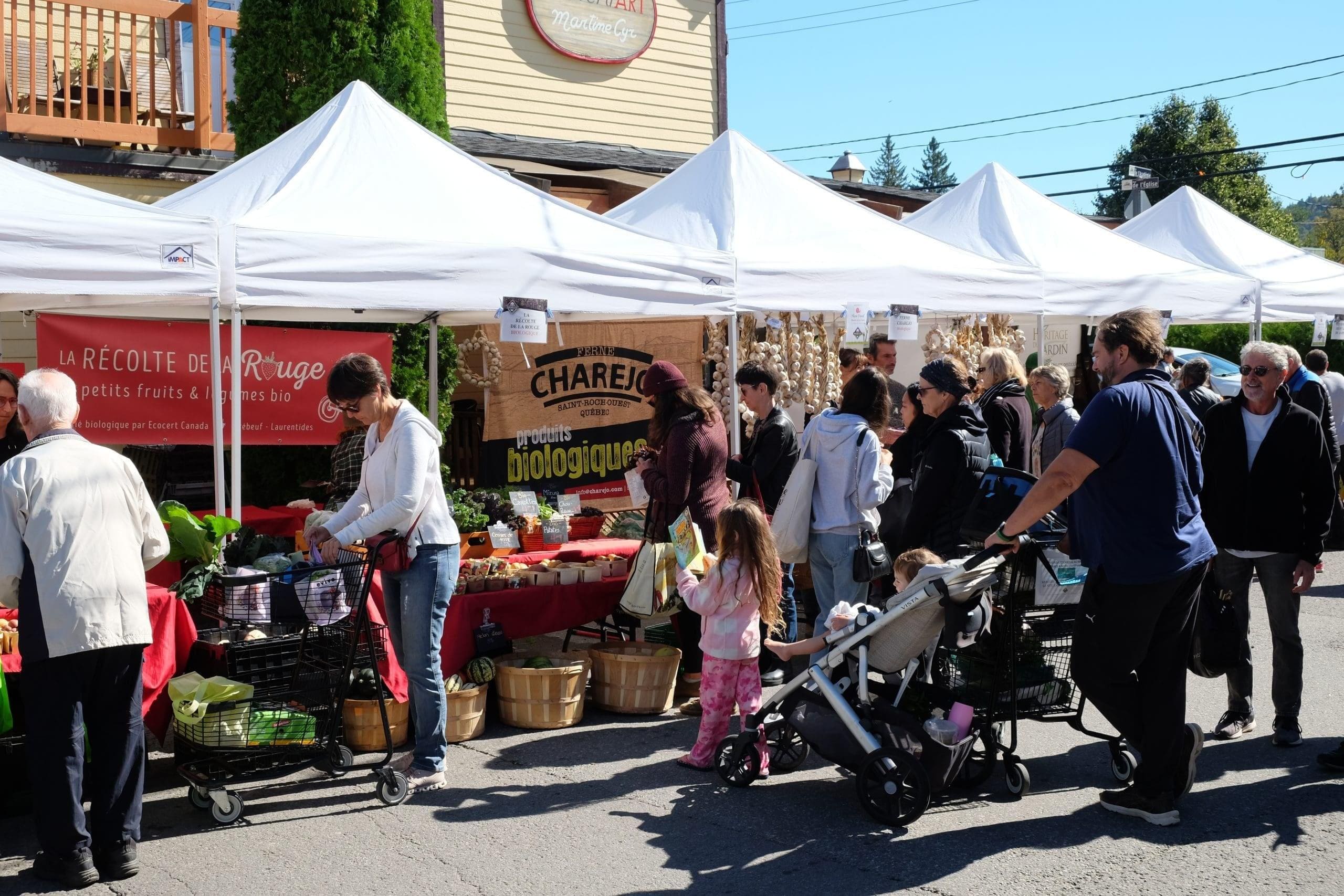 Image représentant la région