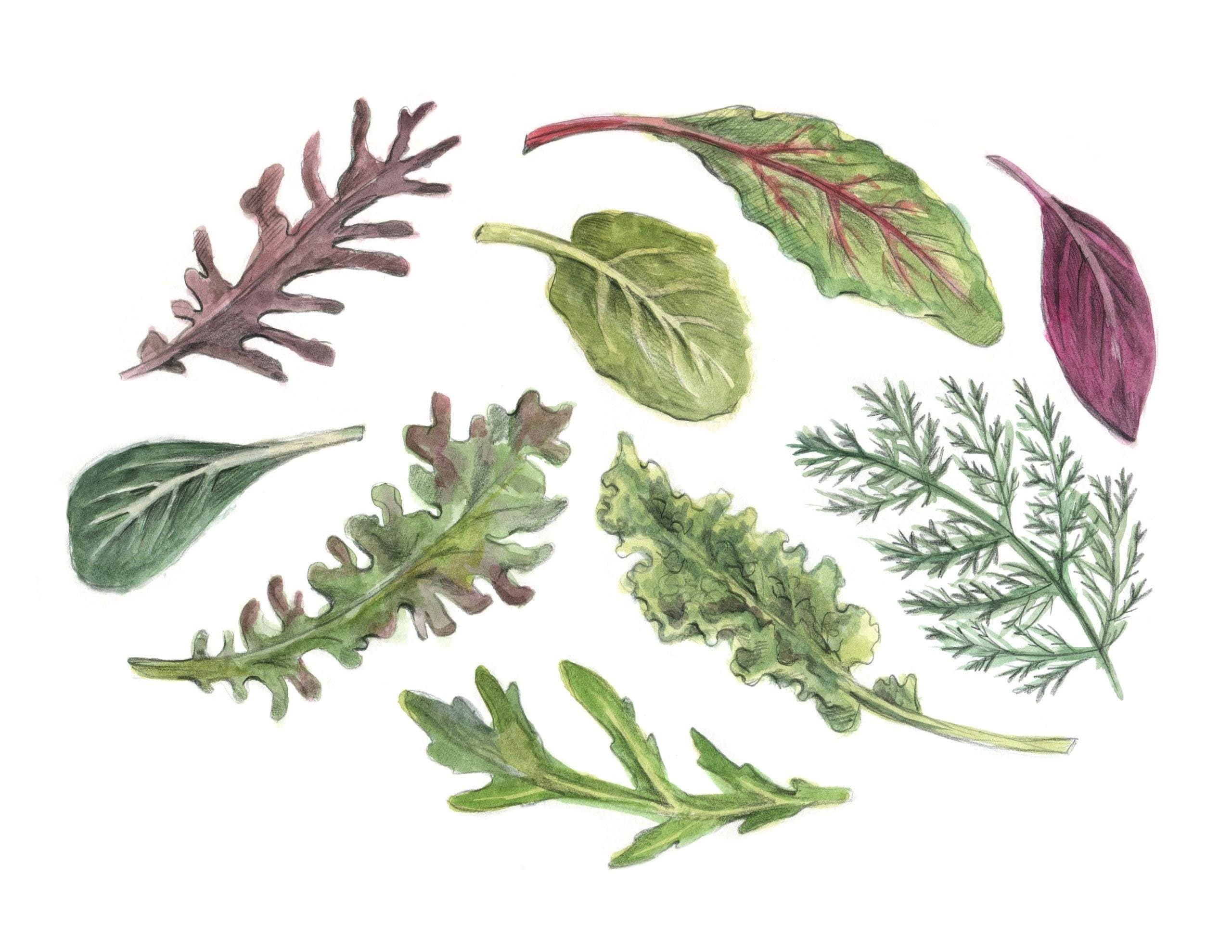 Image pour le truc et astuce