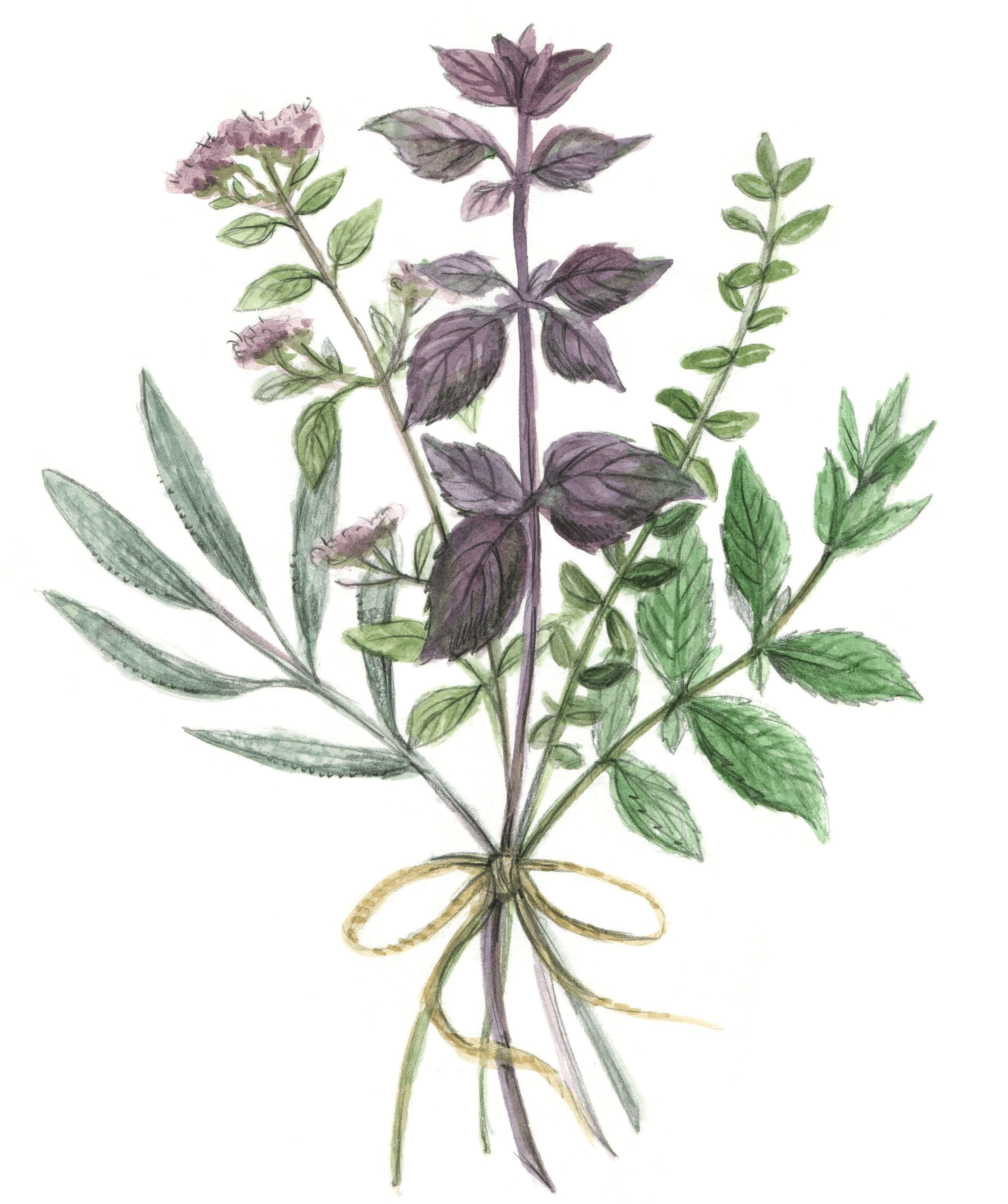 Image pour le truc et astuce