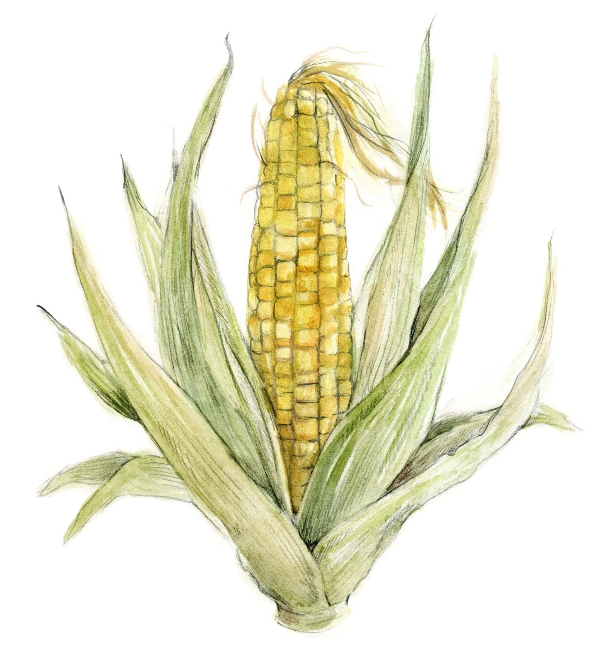 Image pour le truc et astuce